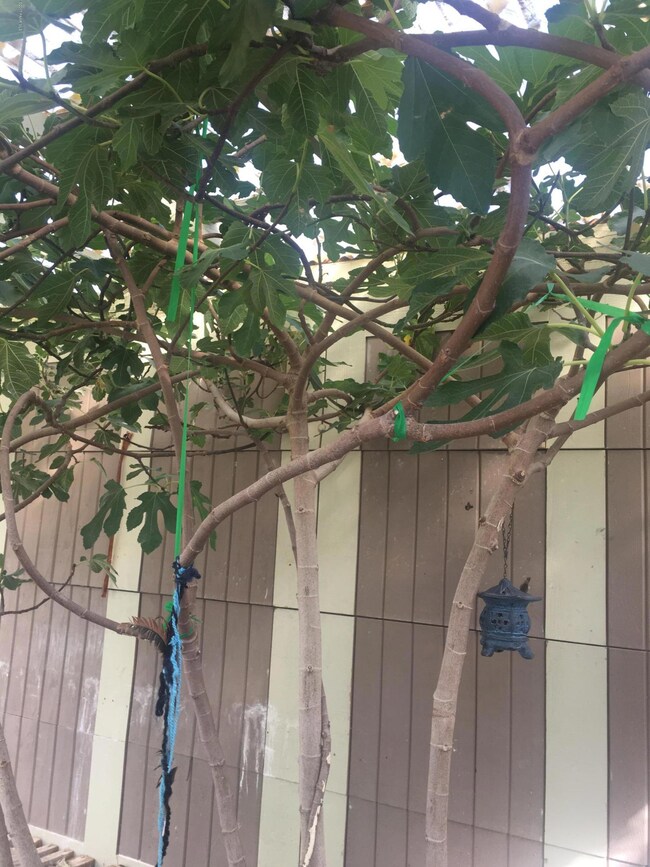 24250 N Los Angeles St, Paulden, AZ 86334 - photo 4