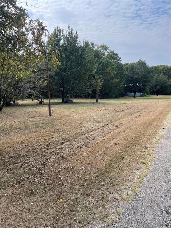 336 Mano Ln, Sadler, TX 76264 - photo 4