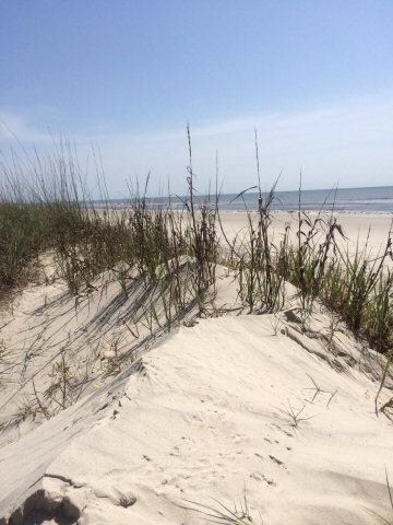 Natural Dunes