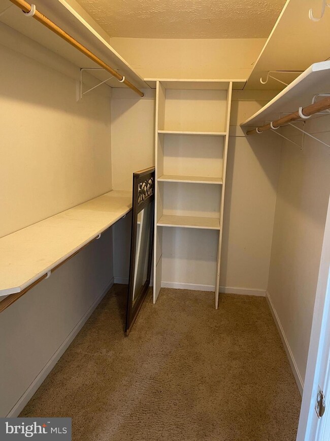 105 D7 Hailey Ln, Strasburg, VA 22657 - photo 7