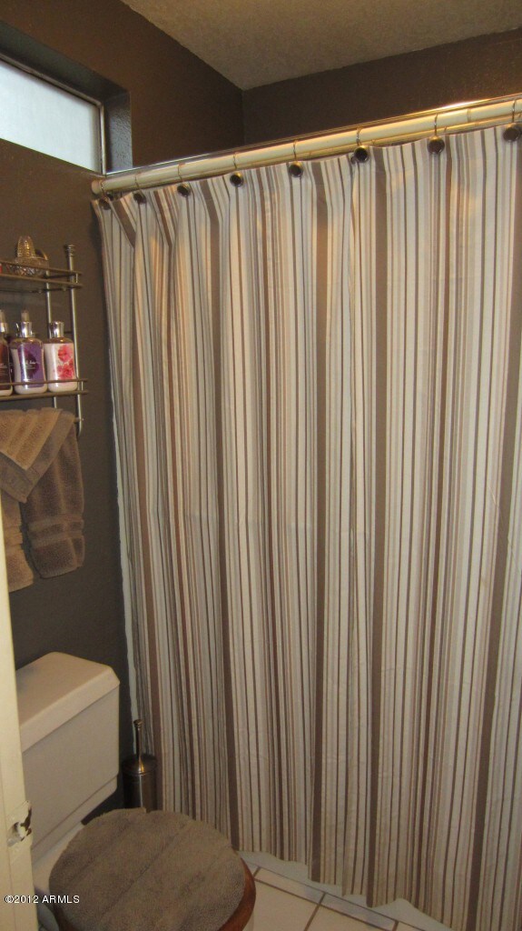 Master Bathroom Shower