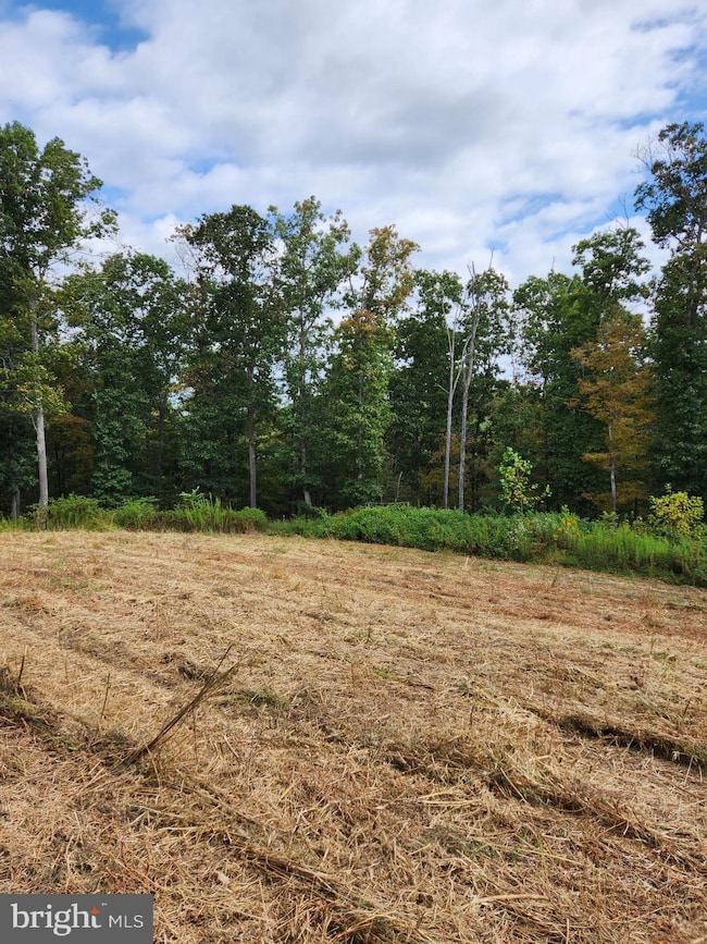 1950 Mesner Rd, Berkeley Springs, WV 25411 - photo 6