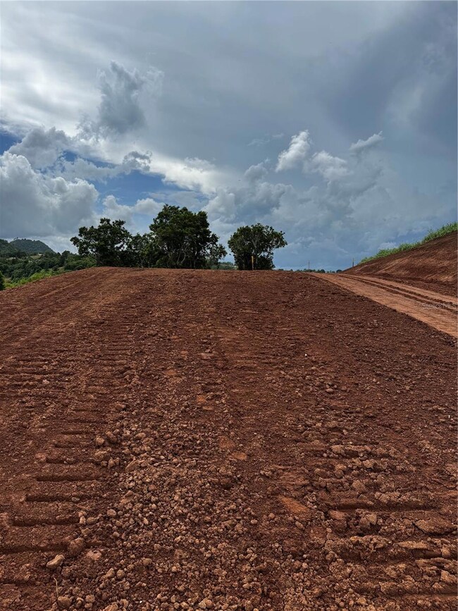 0 Carr 155 Km 31 2 Int Bo Barros unit Lote 2, Orocovis, PR 00720 - photo 4