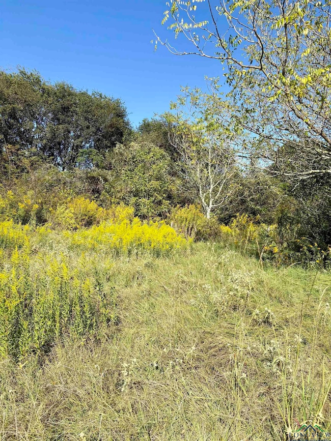 000 County Road 3414, Jacksonville, TX 75766 - photo 3