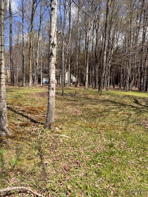 3282 Walden Oaks Blvd, Munsons Corners, NY 13045 - photo 3