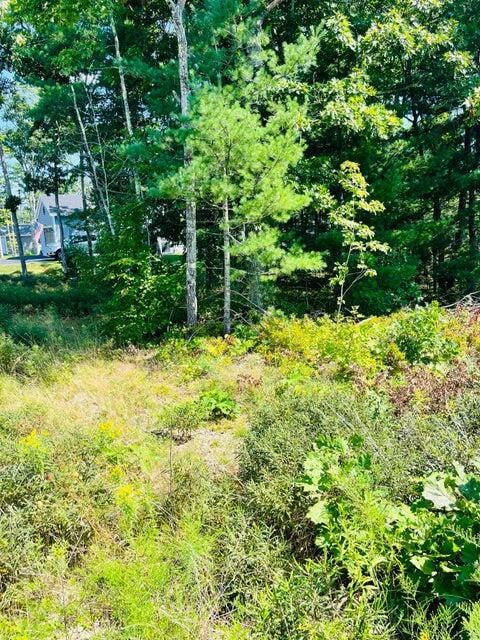 25 Juniper St, Old Orchard Beach, ME 04064 - photo 3