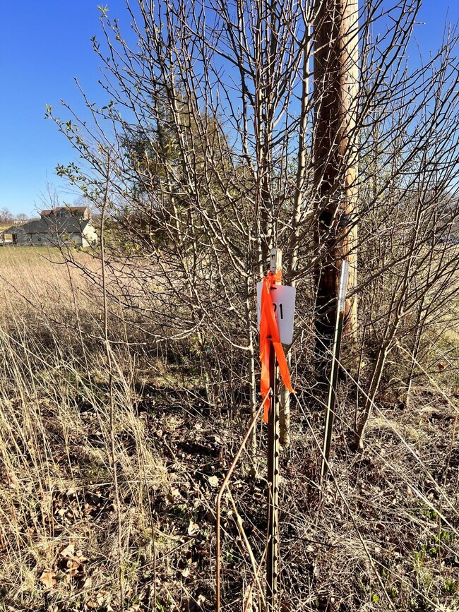 351 1676 Loop, Science Hill, KY 42553 - photo 4