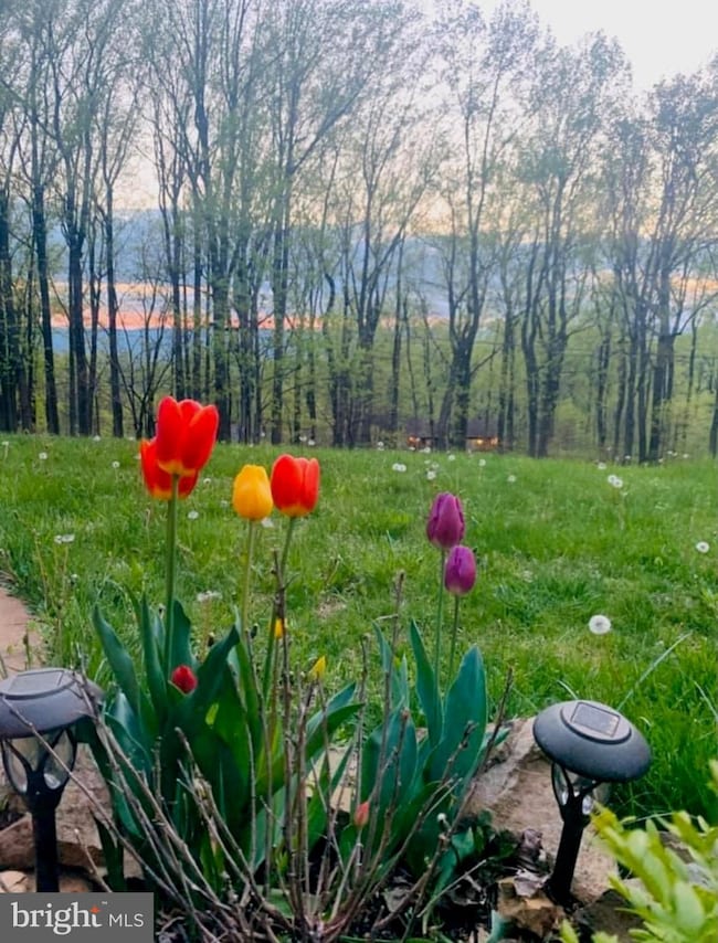 712 Reid Dr, Front Royal, VA 22630 - photo 5