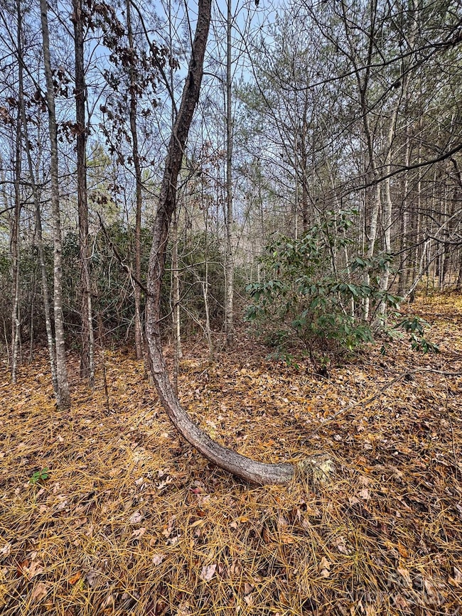 3510 U S 64, Rutherfordton, NC 28139 - photo 3