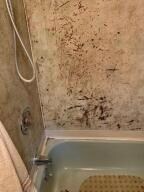 2554&2540 Crow Ln, Harrison, AR 72601 - photo 4