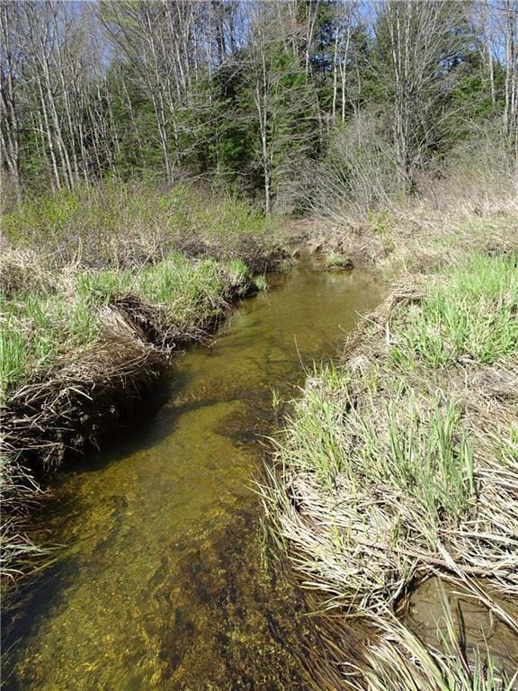 Thoits Brook A small 6 foot wide...