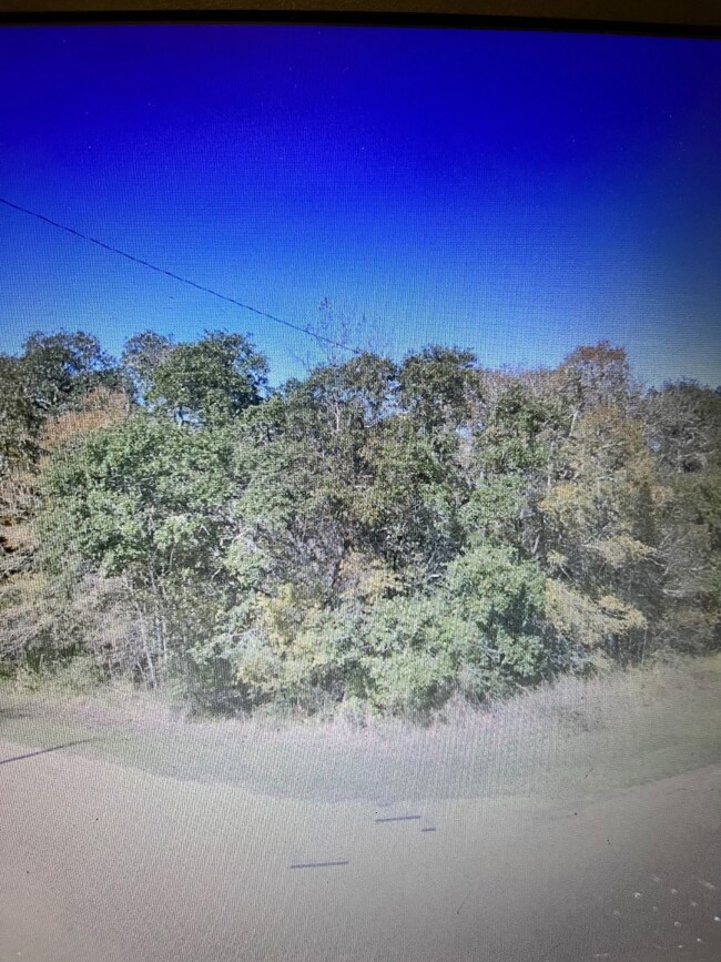 0 Tercero unit 22854898, Brazoria, TX 77422 - photo 2