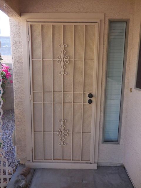 Security door