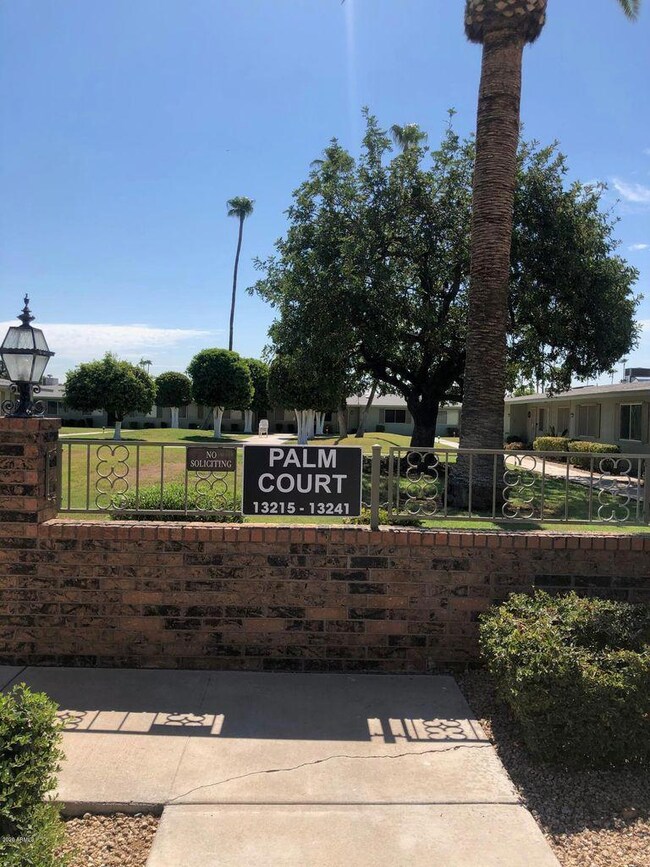 13217 N 110th Ave unit 187, Sun City, AZ 85351 - photo 3