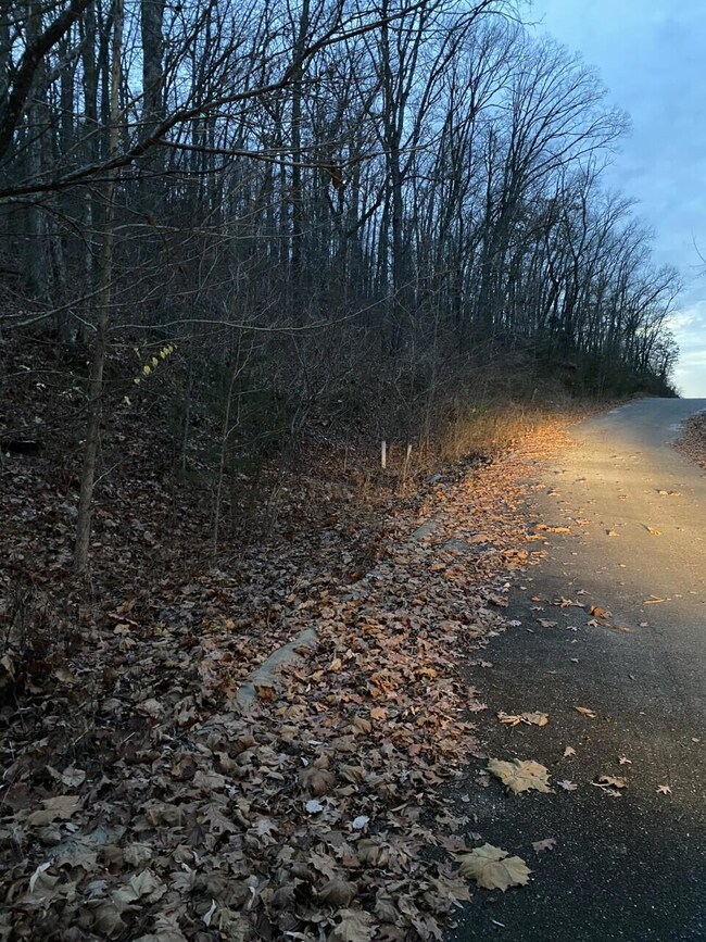 43 Skylee, Hollister, MO 65672 - photo 3