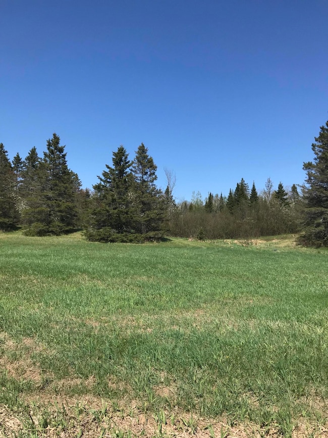 0 E Sand Ridge Rd, Stalwart, MI 49736 - photo 2