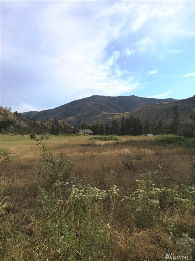 0 Lot 8 Burma Rd unit 1153300, Methow, WA 98834 - photo 3