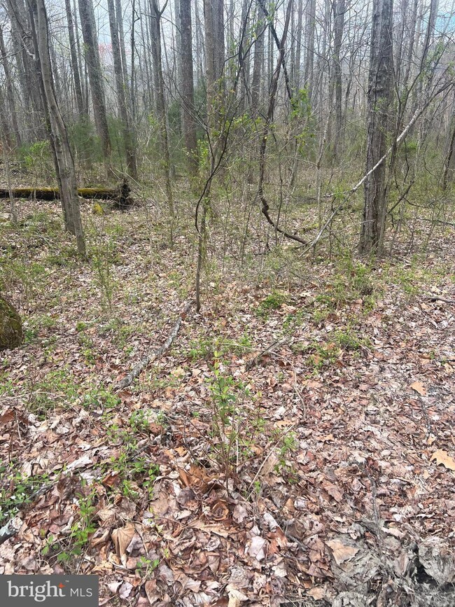 0 Circle Rd unit VAMA2001834, Stanardsville, VA 22973 - photo 2