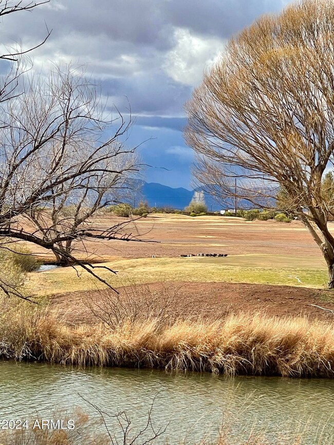 View of the pond.