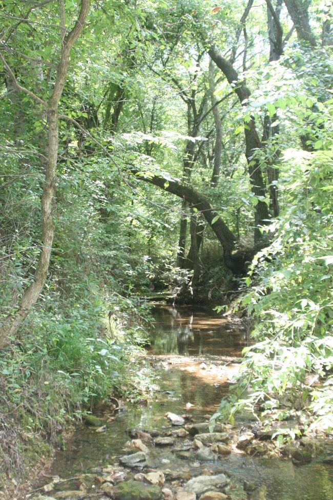 839 Willoughby Rd, Clever, MO 65631 - photo 4