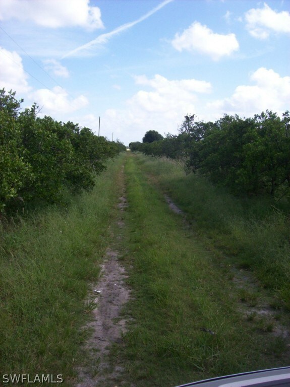 0 3rd Rd unit 215033517, Labelle, FL 33935 - photo 4