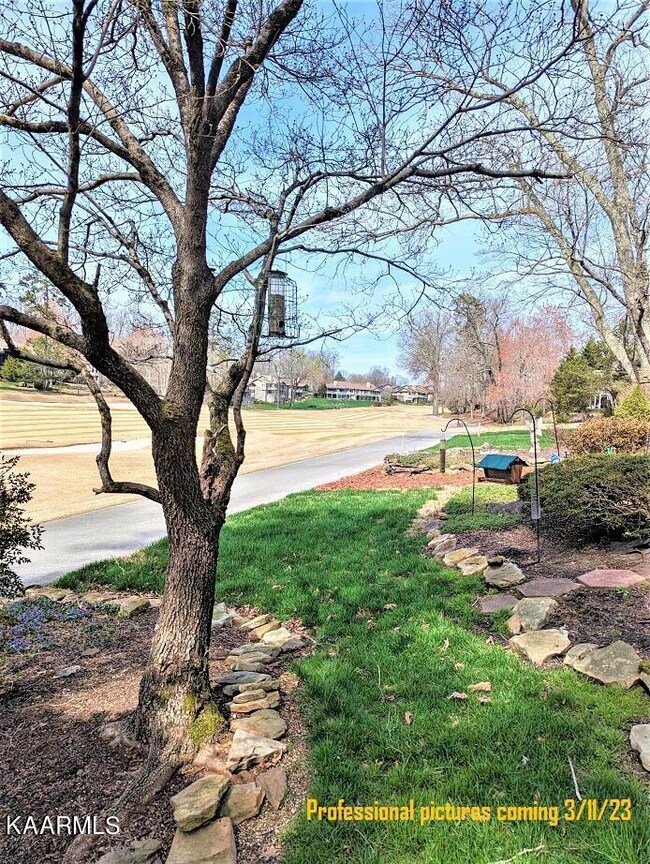 Golf Cart Path