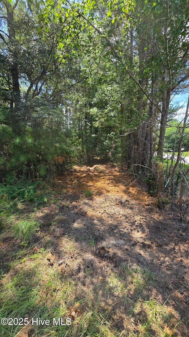 0 Underwood Rd unit 100528558, Murfreesboro, NC 27855 - photo 6