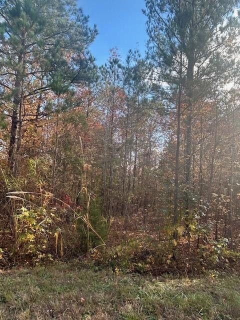 0 Oak Creek Dr, Big Sandy, TN 38221 - photo 6