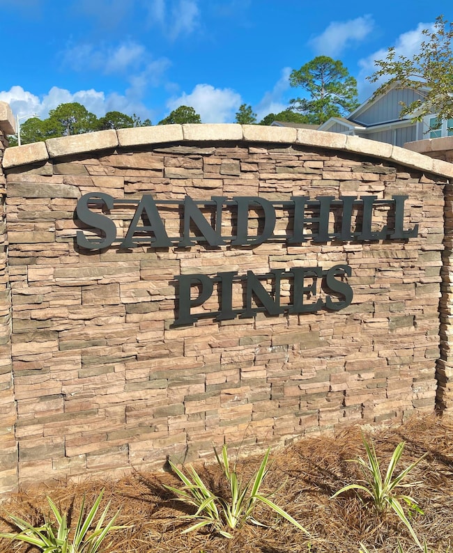 Sandhill Pines 2