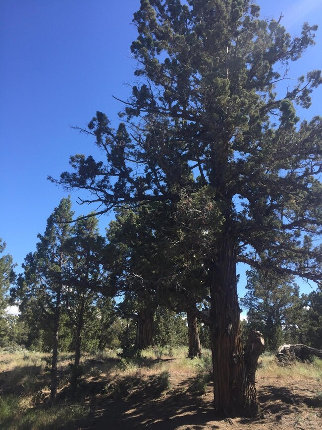 64815 Grande Loop, Bend, OR 97701 - photo 4