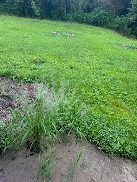 7634 Hwy 190 Hwy W, Port Allen, LA 70767 - photo 3