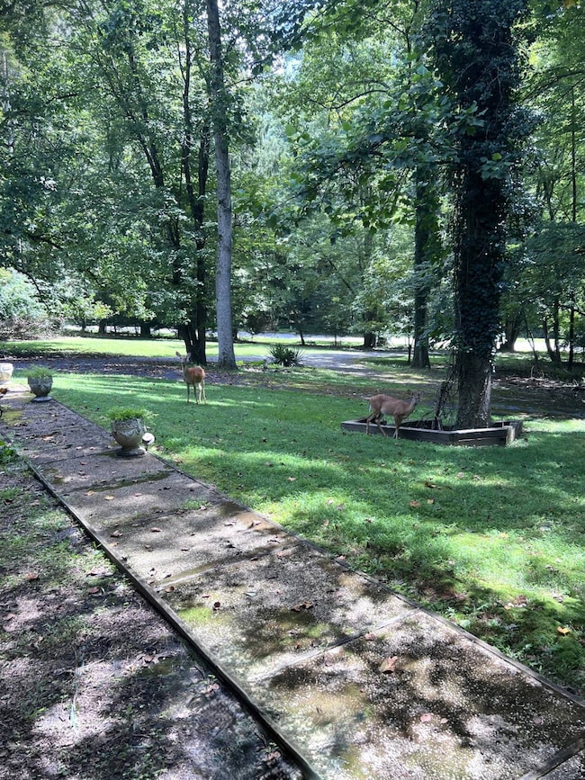 11704 Woodland Dr, Lutherville Timonium, MD 21093 - photo 3