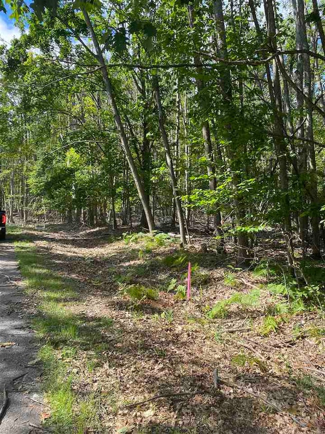 Lots 156 & 157 Humming Bird Ct unit 156 & 157, Otsego Lake Township, MI 49735 - photo 3