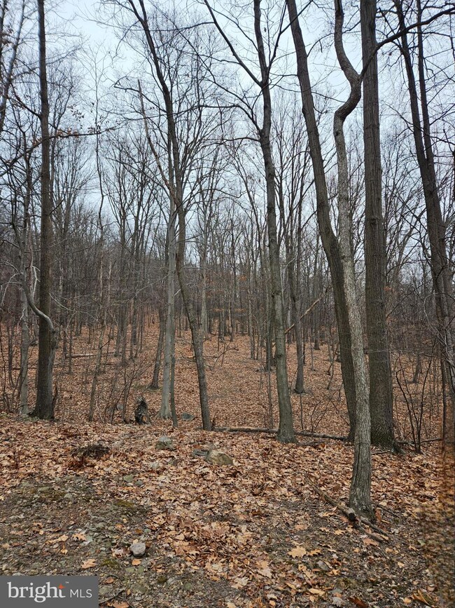 953 Apple Way, Saint Thomas, PA 17252 - photo 5