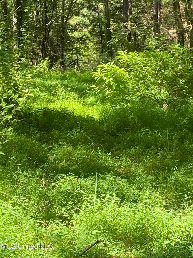 2022-06-20 10.30.41