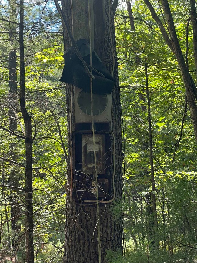 0 Sarah Ln unit 655776, Basye, VA 22810 - photo 4