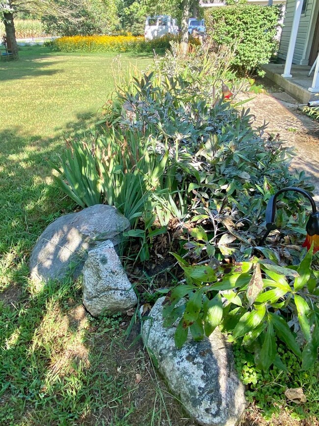 14 W 900 S, Kouts, IN 46347 - photo 5