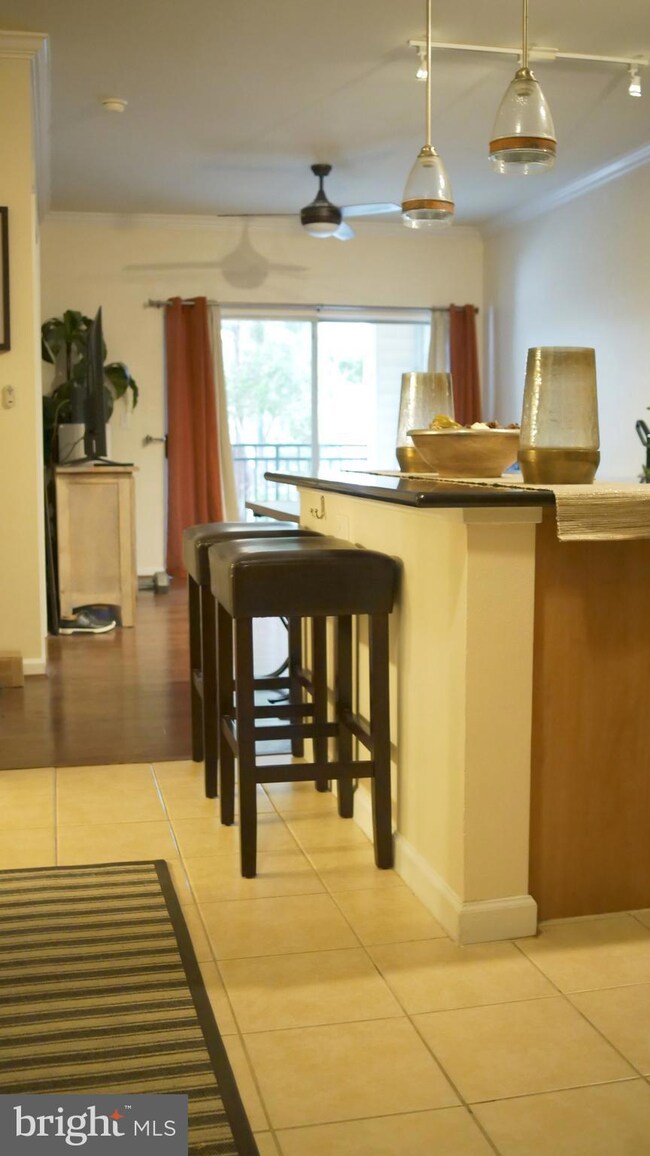 12905 Centre Park Cir unit 108, Herndon, VA 20171 - photo 5