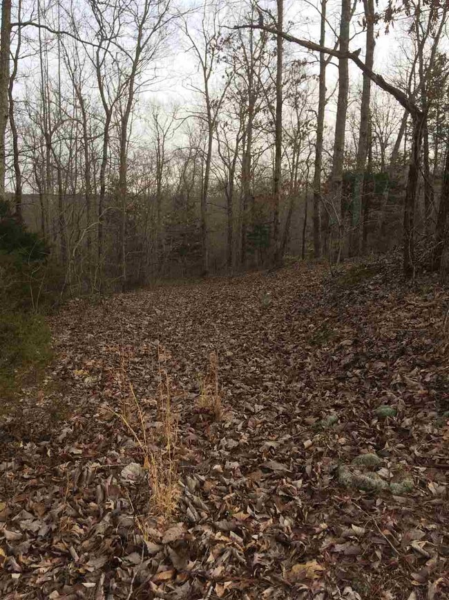 00 Hurricane Creek Rd, Linden, TN 37096 - photo 2