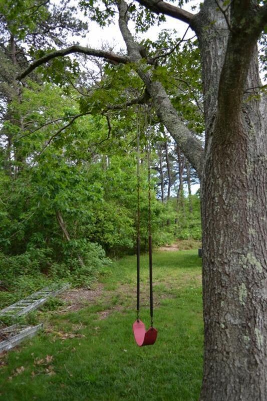 14 Mockingbird Dr, Edgartown, MA 02539 - photo 6