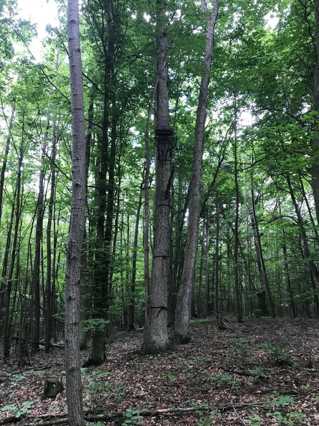 0 W 48th St unit 18035343, Newaygo, MI 49337 - photo 7