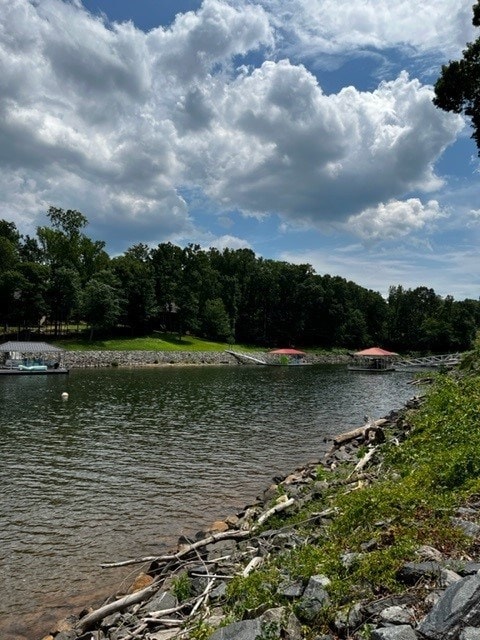 Lot 6 Stripers Cove Ln, Clarksville, VA 23927 - photo 5