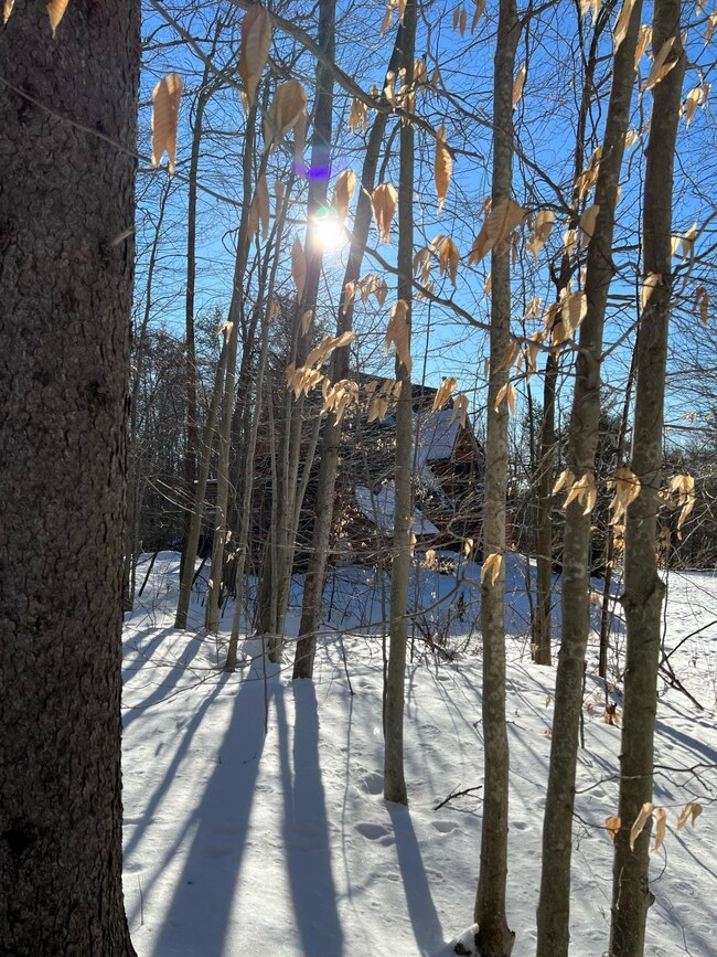 979 Chapman Rd, Ludlow, VT 05149 - photo 2