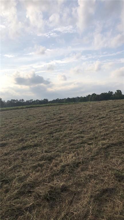 0 Brumfield Rd, Franklinton, LA 70438 - photo 4