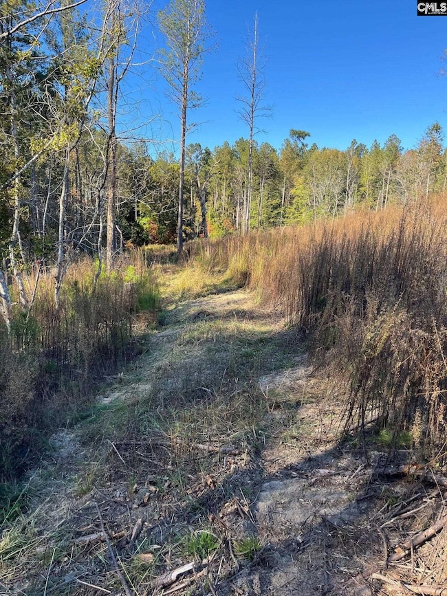 DRF 1 Dawkins Rd unit DRF 1, Pacolet, SC 29372 - photo 3