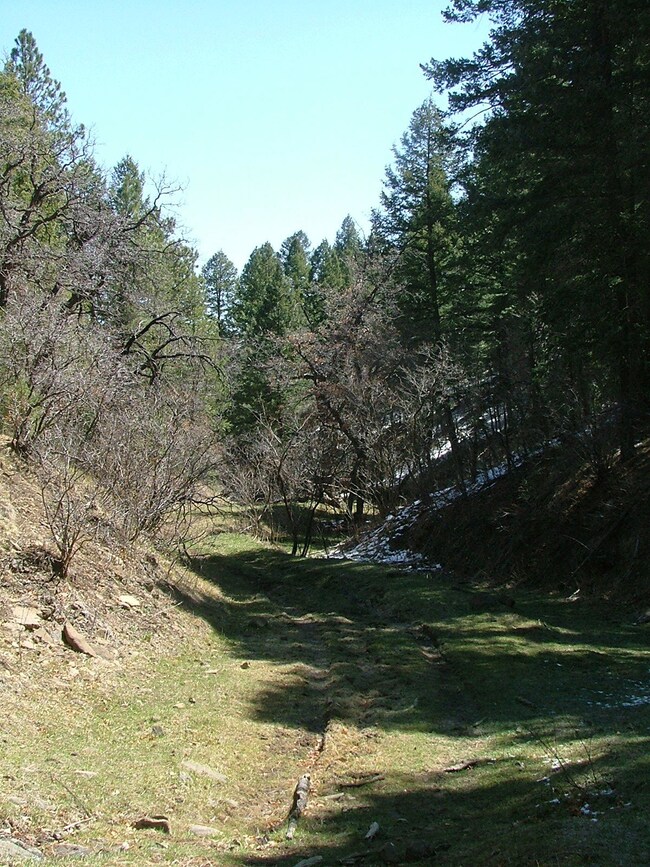 valley floor
