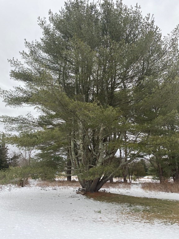 9 Anawan St, Rehoboth, MA 02769 - photo 4