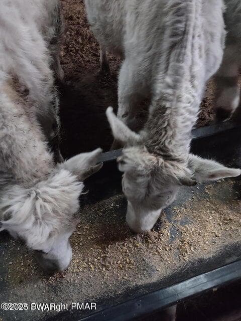 20250903150426077999000000-o