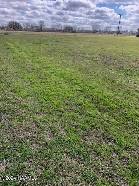 4 Delcambre Rd, Breaux Bridge, LA 70517 - photo 3