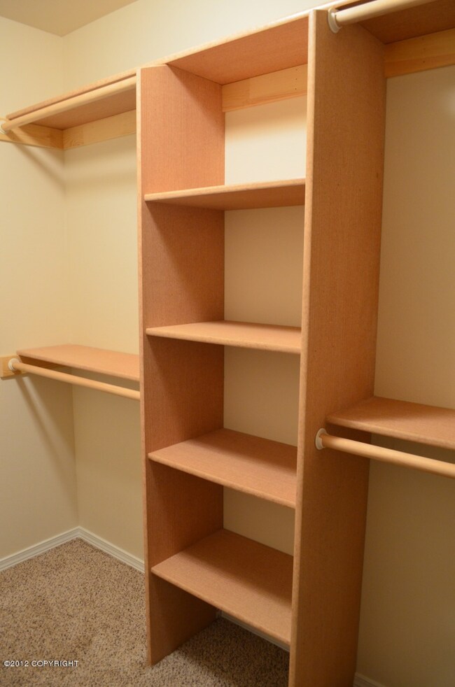 Master Walk in Closet
